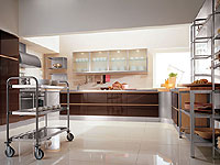 ����� Lube: ������ Monia - ����������� ������